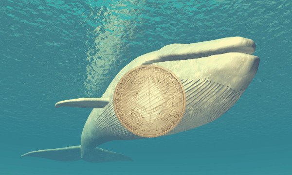 Bitcoin Whale and Ethereum ICO Member Deposit $250 Million Holdings To Exchanges