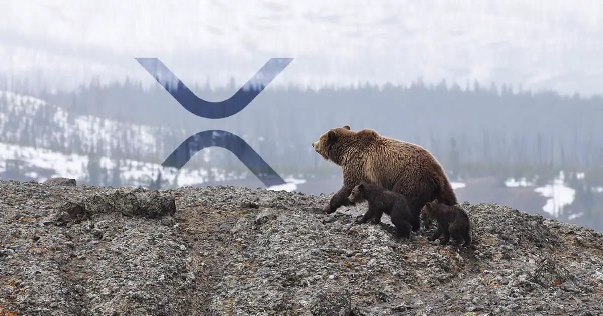 XRP’s Triumph: Possible Turning Point for the Bear Market in Cryptocurrencies