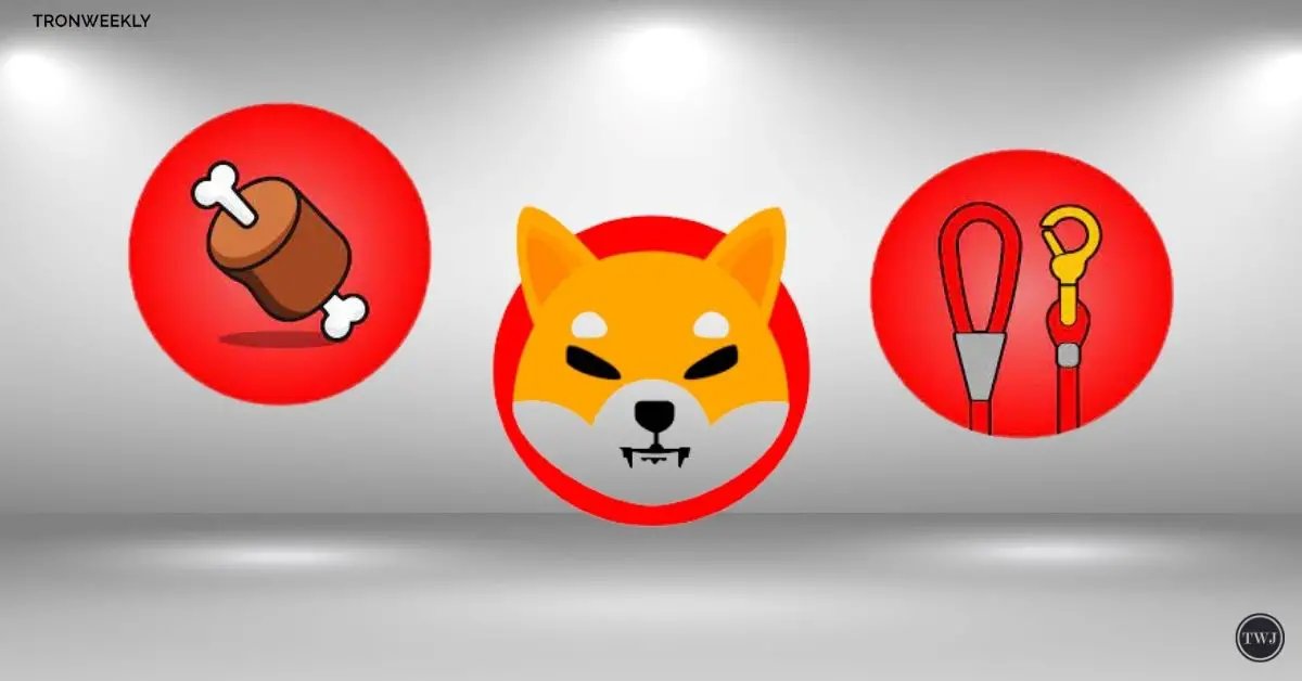 Lucie Unveils Shiba Inu’s Ambitious Roadmap For SHIB, BONE, And LEASH Tokens