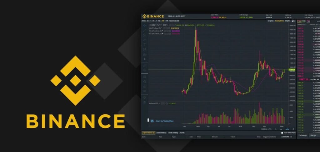 Binance Statistics 2023 (Data on Usage, Revenue, and More)