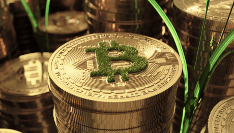 Bitcoin Season: Leading The Charge In The Crypto Market