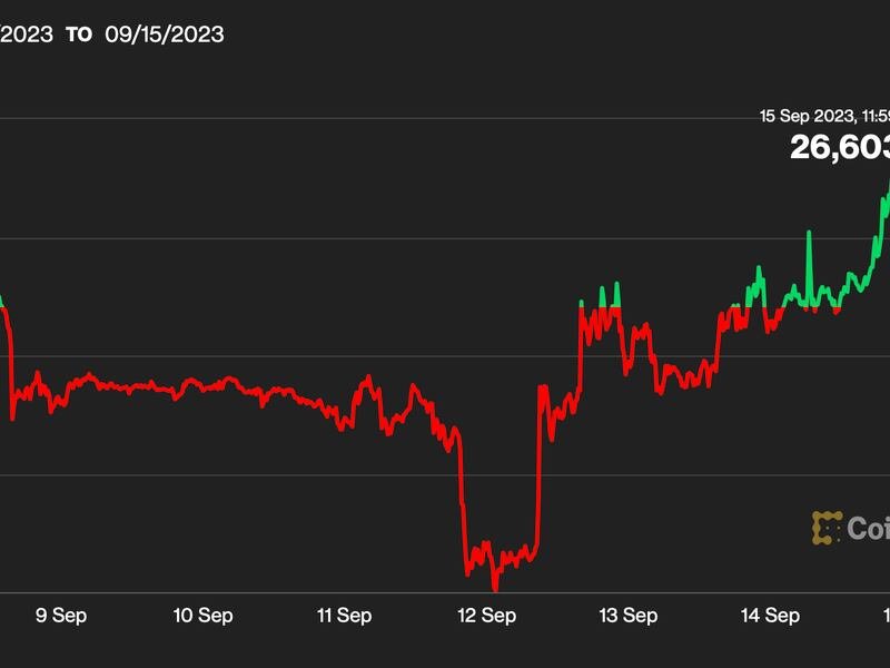 Bitcoin Bounce Puts Altcoin Bears at Risk