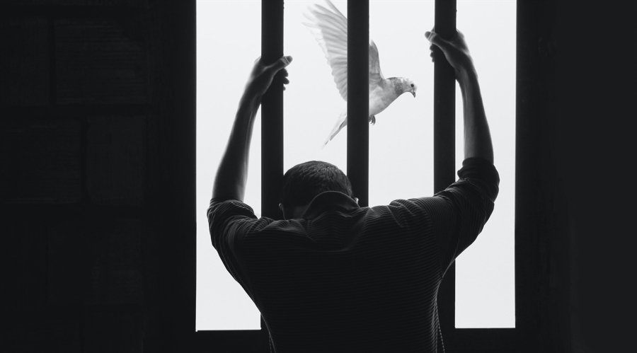 Serbian Man Faces 20 Years of Time for 20 Sham Trading Platforms