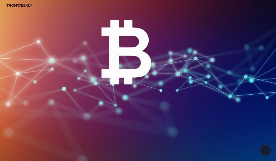 The Gann Square: Forecasting Bitcoin’s Next Peak – $89,000 or $135,000?