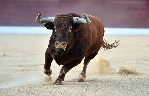 Bitcoin price to hit $125k by end of 2024: Matrixport