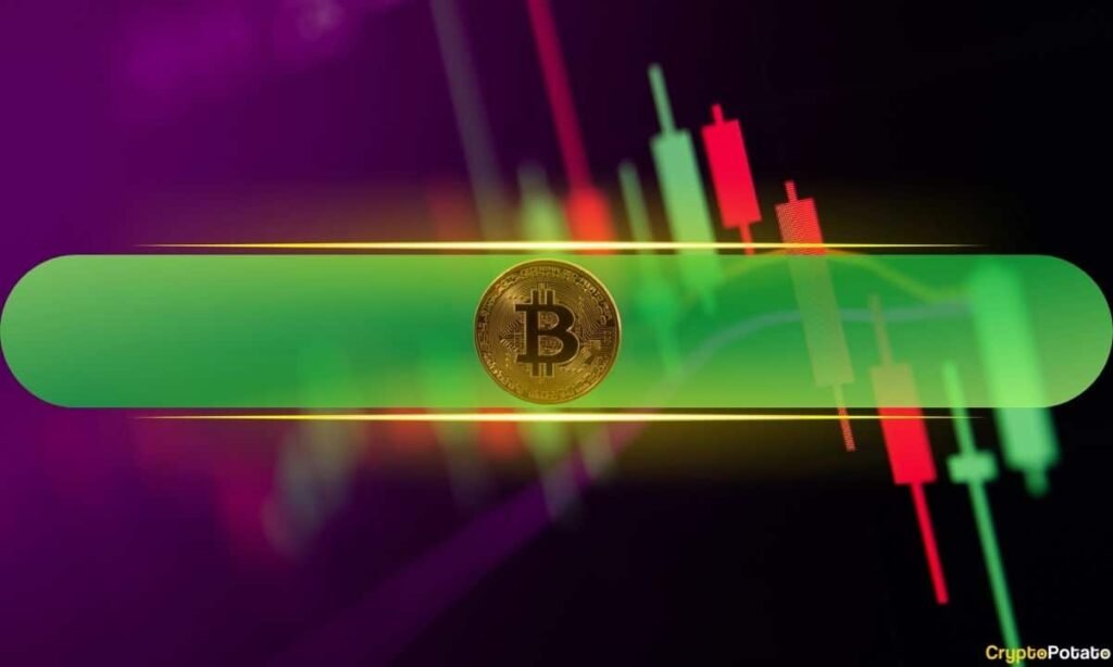 Bitcoin Bulls Back in Town with a Push to $42K as Markets Attempt a Recovery: Weekend Watch