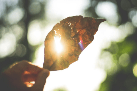 Solana Surges: Open Interest Hits $1.75 Billion, Price Up 8% Today