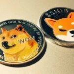 Shiba Inu Whale Worth $29 million Sells Partial Bag for Challenger Coin Option2Trade (O2T) for 2024 Launch