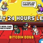 Bitcoin Dogs Raises Over $11.5 Million and Enters Final 24 Hours