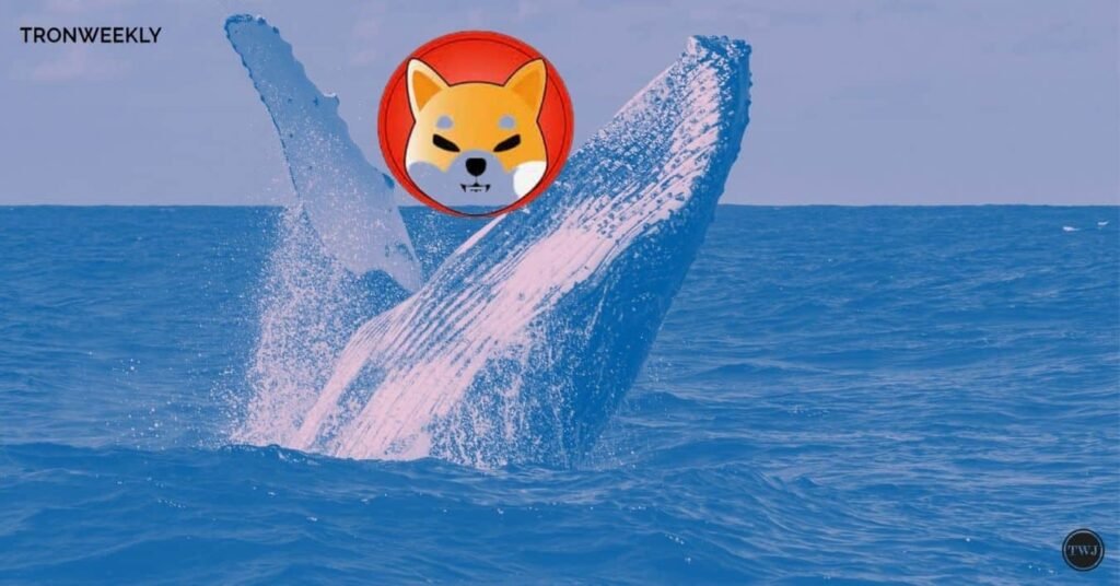 Shiba Inu Whales Withdraw: Bullish Trend for SHIB, LINK, ETH