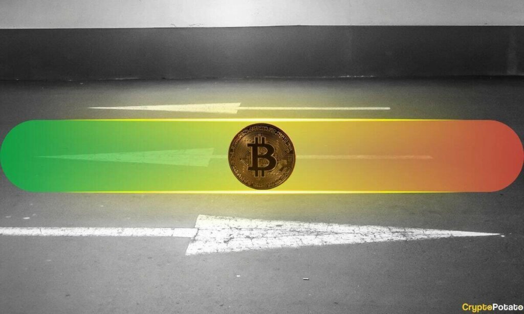 Bull or Bear Phase? CryptoQuant Says Bitcoin Is at a Pivotal Point