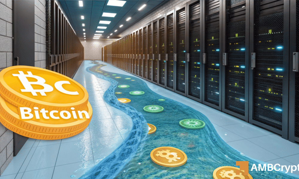 Bitcoin faces vital $96K test – Will BTC rally to $103K or fall to $95K?