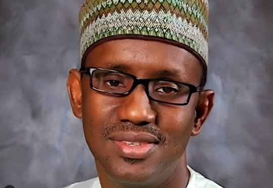 Ribadu: What Gambaryan did not know