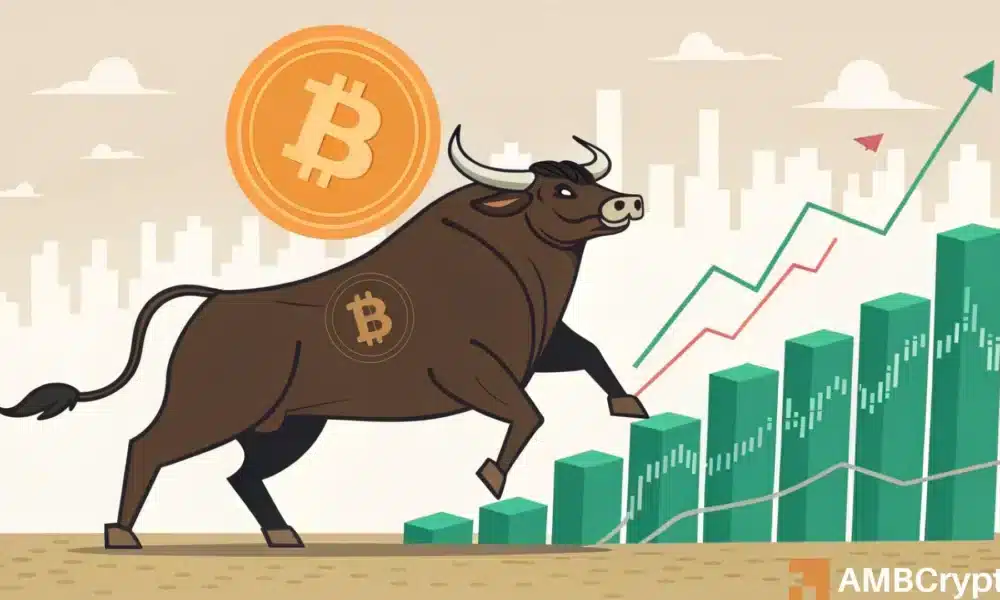Will 2025 be another bullish year for Bitcoin? – This analyst believes…