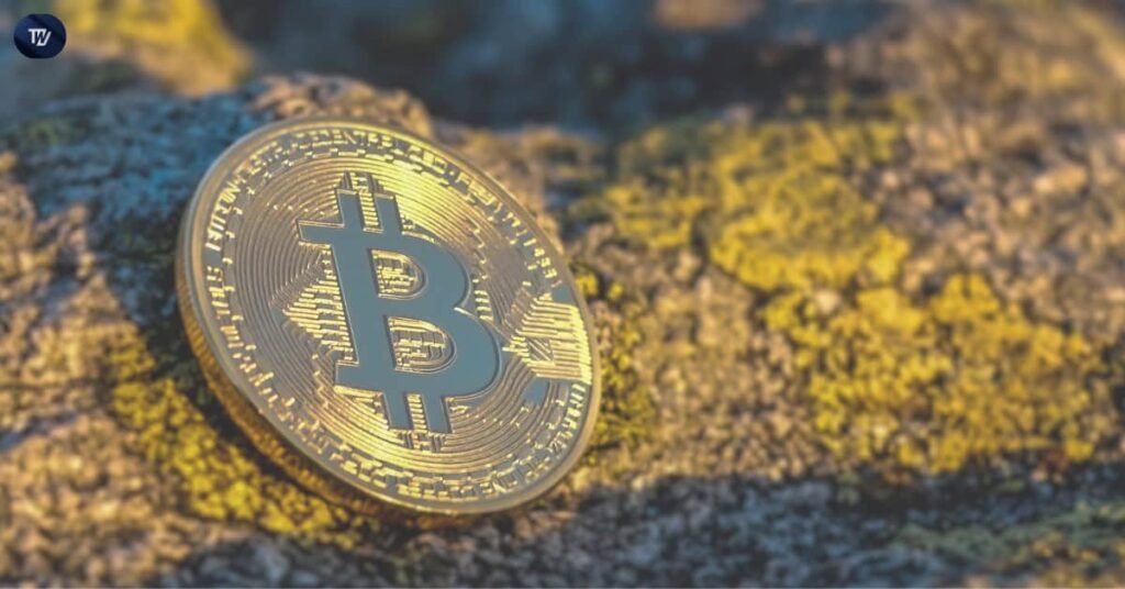 Bitcoin Hits 2024 Correction Levels—Signs Point to Bullish Reversal