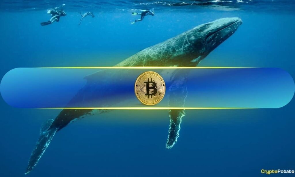 Bitcoin Whales Load Up 83K BTC as Retail Sells Off: $110K Price Target in Sight?