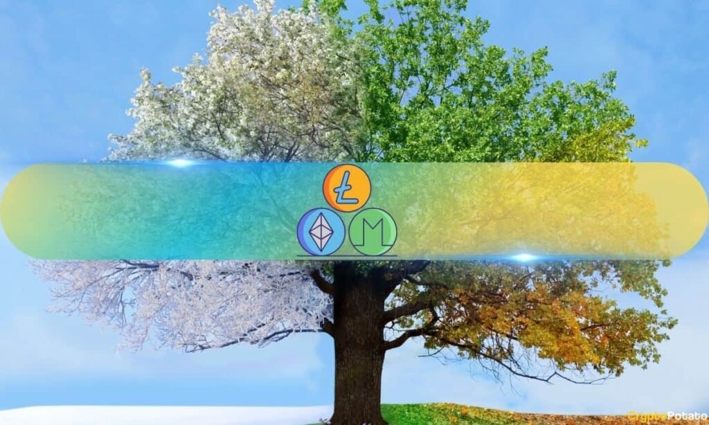 The Weakest Altcoin Rally in Years: But That Could Change Fast