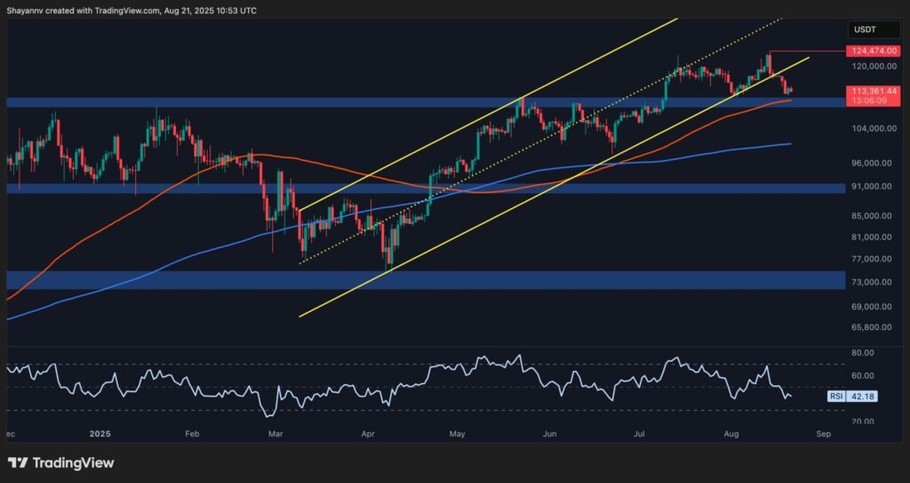 Bitcoin Price Analysis: BTC Tests Key Support as Further Breakdown Looms