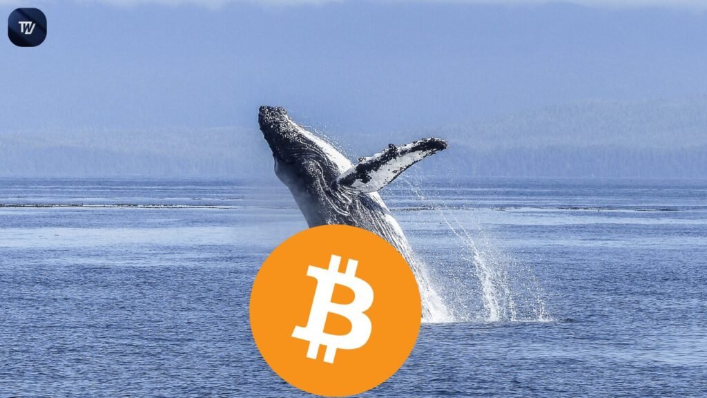 Bitcoin Whale Buys $163 Million BTC as Market Eyes $115,000 Target