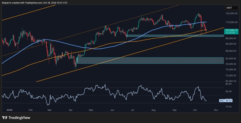 Bitcoin Price Analysis: First Bearish Signs Appear as BTC Falls by $20K From ATH