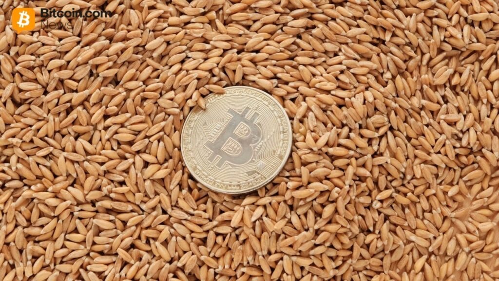 DDC Enterprise Secures $124 Million to Accelerate Bitcoin Treasury Expansion