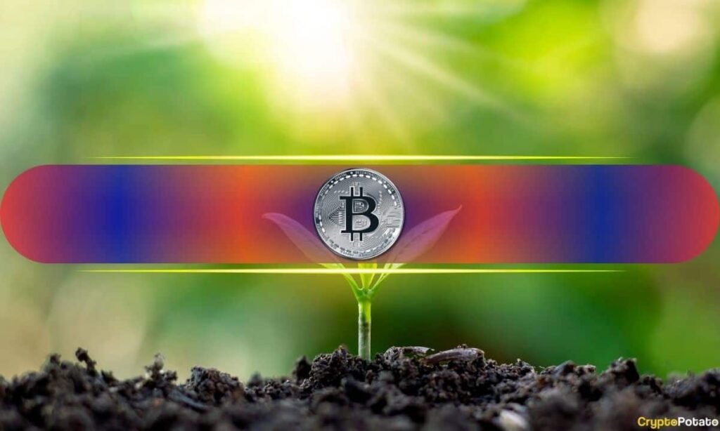 DATs Slow Down, Futures Get Crushed: Is Bitcoin Entering a New, Cleaner Market Regime?