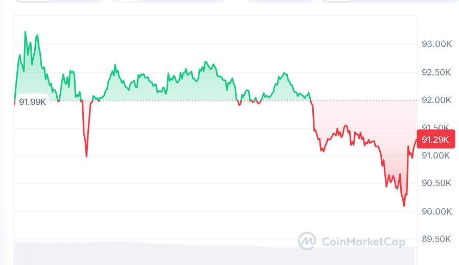 Bitcoin Steadies Near $91,000 With Whales Eyeing $94,000 and $100,000 Soon