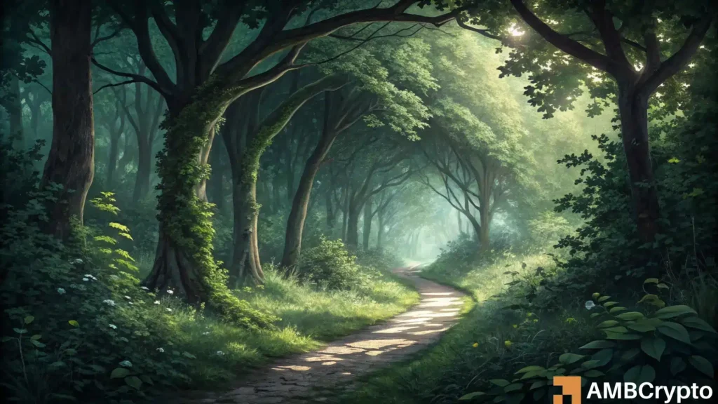 Bitcoin Cash: Here’s why BCH traders should watch THIS buy signal