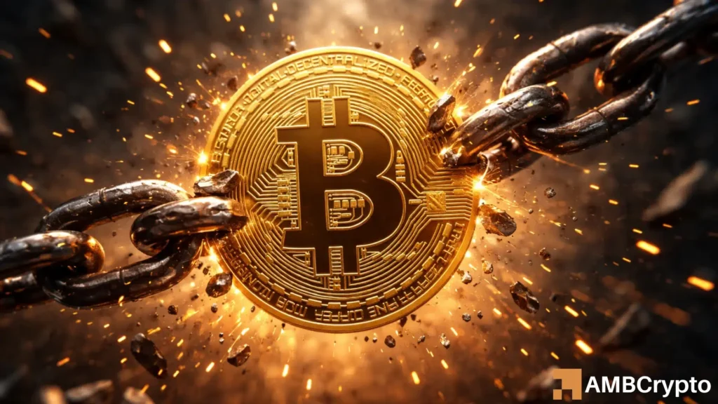 Bitcoin at risk? Just 4 wallets hold 100K+ BTC each as demand weakens