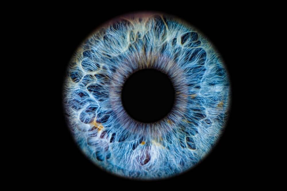 World<s>Coin</s>‘s newest pitch: Scan your eyeballs to prove AI agents really represent you