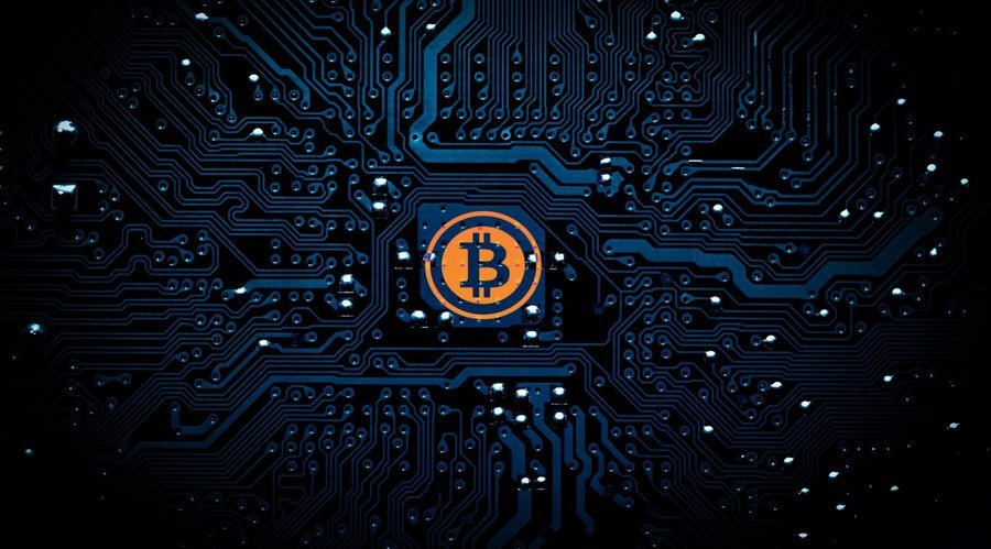 Bitcoin’s Pizza Day Leap: From Experiment to Global Store of Value