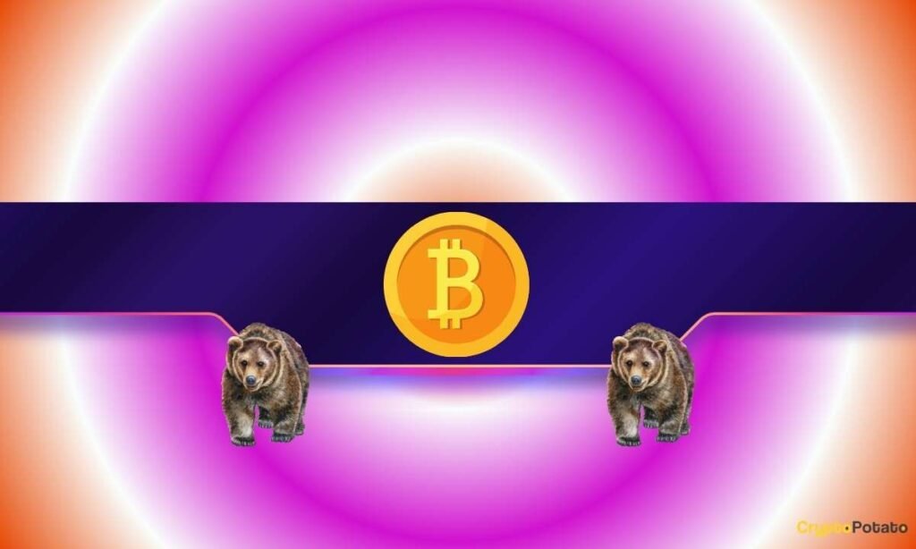 Bitcoin Investors Beware: Analyst Warns of BTC Price Crash After Fed Meeting